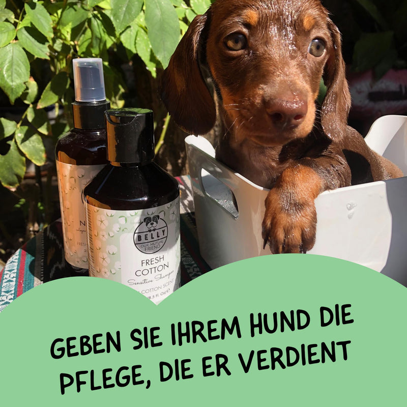 Belly Sensitive Dog Shampoo - 250ml - Natural Shampoo Dog Sensitive Skin, Fresh Cotton Aroma, Allergen and Paraben Free - Moisturizing Plant-Based Dog Shampoo Fresh Cotton - BeesActive Australia