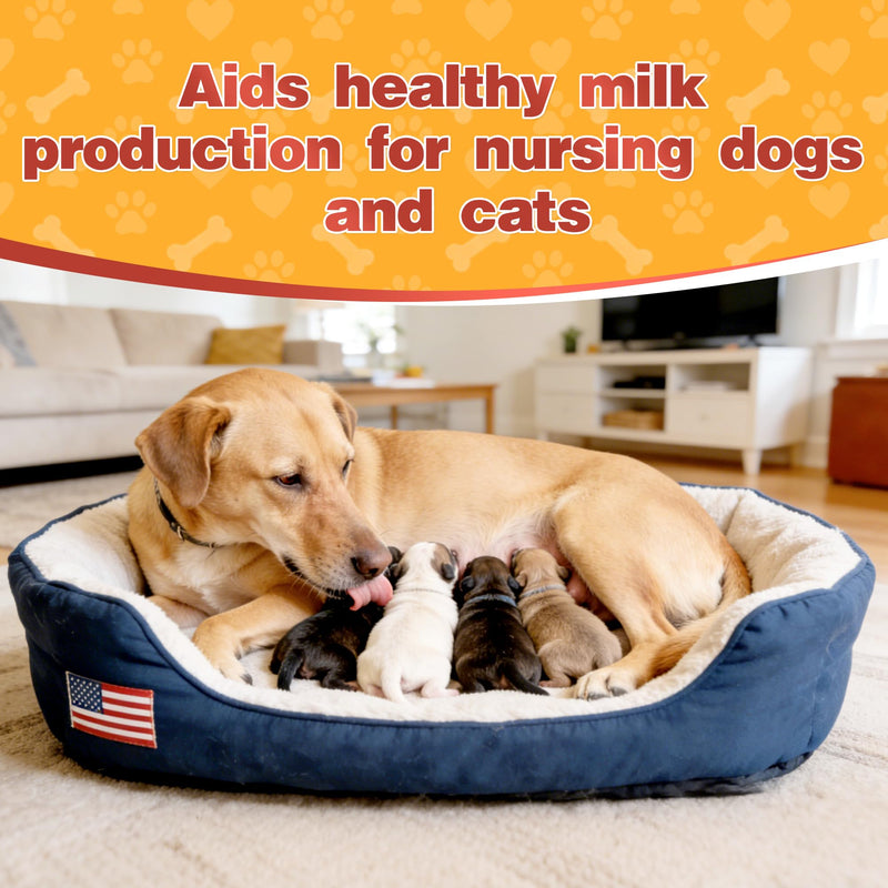 Oral Calcium Supplement for Whelping Dogs & Cats, 30 ml (1-Pack) | Fast-Absorbing Calcium Paste Supports Labor & Milk Production, with Vitamin D3 & B6 for Enhanced Absorption Pack of 1