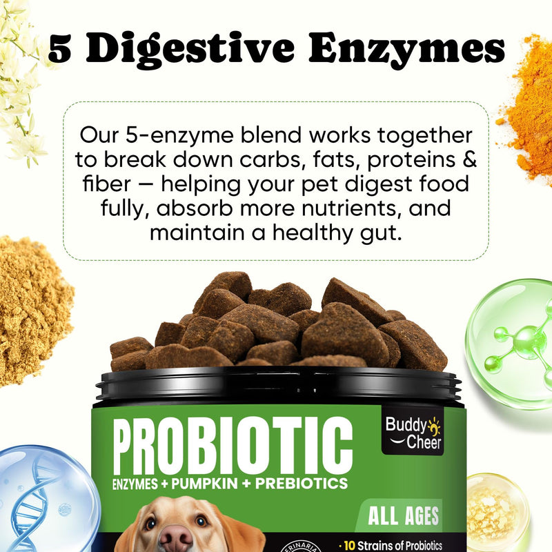 Dog Gut & Skin Health Bundle – Probiotic Soft Chews with Liquid Fish Oil for Digestive Balance, Skin Comfort & Immune Care