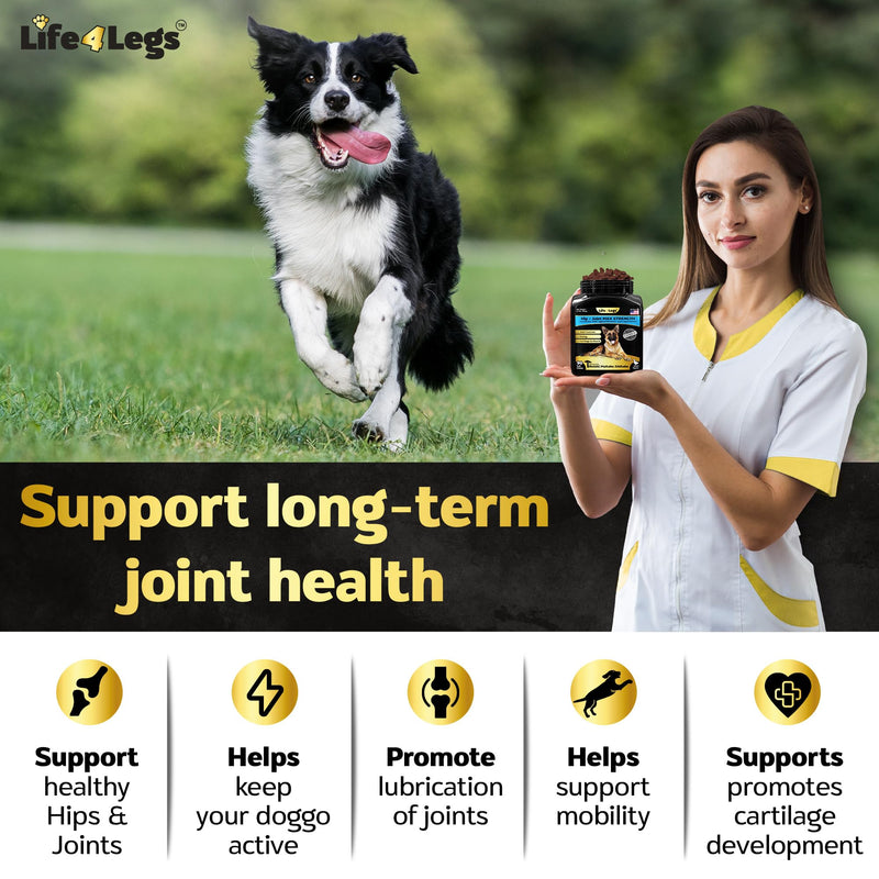 Soft Chews Hip and Joint Supplement for Dogs - Dog Joint Pain Relief Treats - Glucosamine, Chondroitin, Turmeric - Mobility Bites Supplement Hip and Joint Max Strength Bacon - 90 Soft Chews - BeesActive Australia