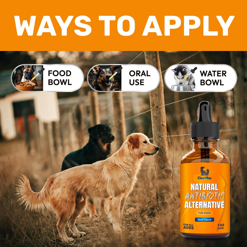 Dog Antibiotics ◆ Antibiotics for Dogs ◆ Natural Antibiotics for Dogs ◆ Antibiotic for Dogs ◆ Dog Antibiotic ◆ Beef Flavor ◆ 1 Oz - BeesActive Australia