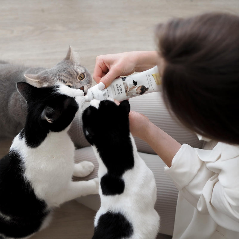 GimCat X Minty&Marla Multi-Vitamin Paste with Catnip - Delicious vitamin-rich snack refined with tasty catnip - 1 tube (1 x 100 g) - BeesActive Australia