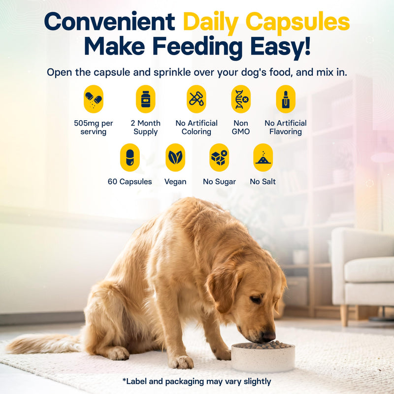 FiberSyl Prebiotics for Dogs Digestive Health - Dog Fiber Supplements for Constipation Relief & Support - Psyllium Husk Seed for Dog' Digestion Problems - Dog Stool Hardener - 60 Capsules