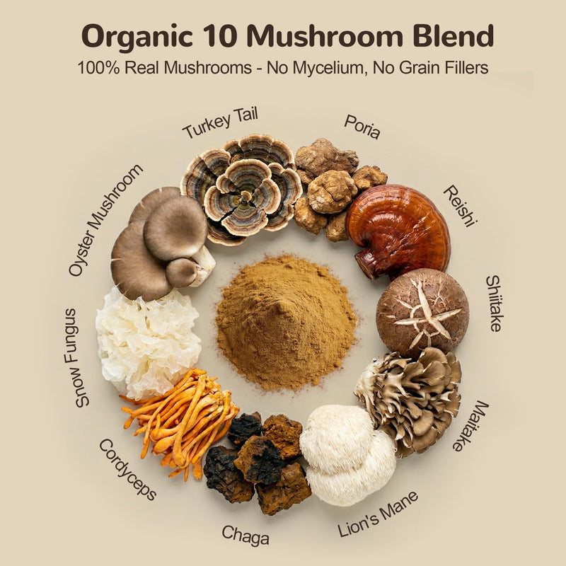 Organic Turkey Tail Mushroom for Large Dogs - Over 50% Beta Glucan - 10-in-1 Mushroom Powder for Immune & Gut Support - Dog Mushroom Supplements for Lumps and Bumps - Chicken Flavor, 200g 200 g