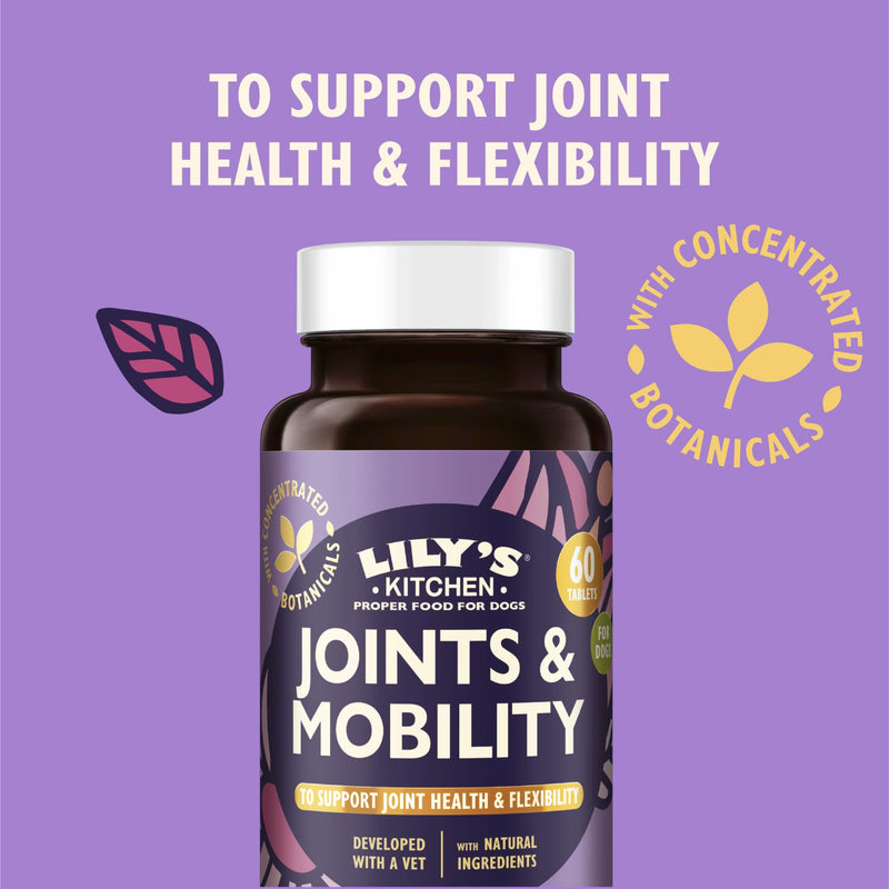 Lily's Kitchen Joints & Mobility Supplements for Adult Dogs & Senior Dogs, 60 Tablets – Made with Natural Ingredients, Glucosamine, Chondroitin & Green Lipped Mussel Powder One Size