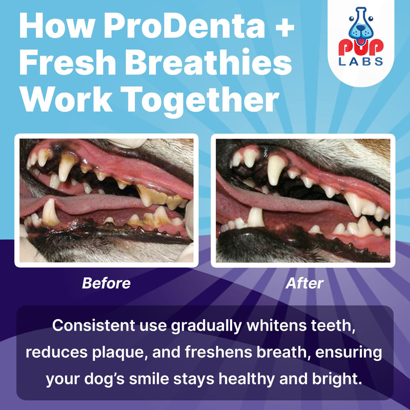 Pup Labs ProDenta & Fresh Breathies Bundle, All-Natural Dog Breath Fresheners, Dental Powder & Chews for Clean Teeth, Fresh Breath, Gut & Immune Support