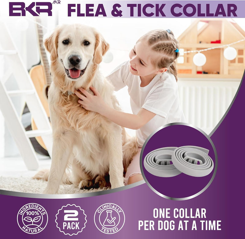 Flea Collar for Dogs 2 Pack 16 Months Protection Natural Flea and Tick Prevention for Dogs, One Size Fits for All Dog Flea Collar - BeesActive Australia