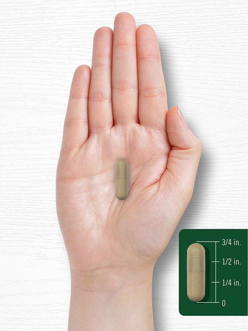 Carlyle Gotu Kola Capsules 1500mg | 180 Count | Non-GMO, Gluten Free | Traditional Herb Extract - BeesActive Australia