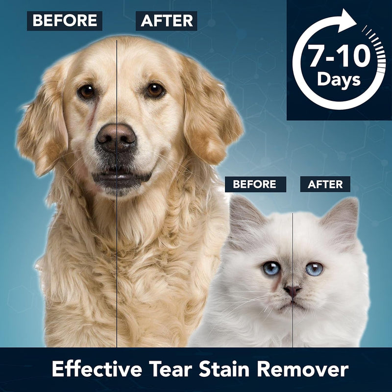 NOVEHA Dog Eye Wipes, Gentle Tear Stain Remover, Eye Hygiene, and Allergy Relief (60 Counts) - BeesActive Australia