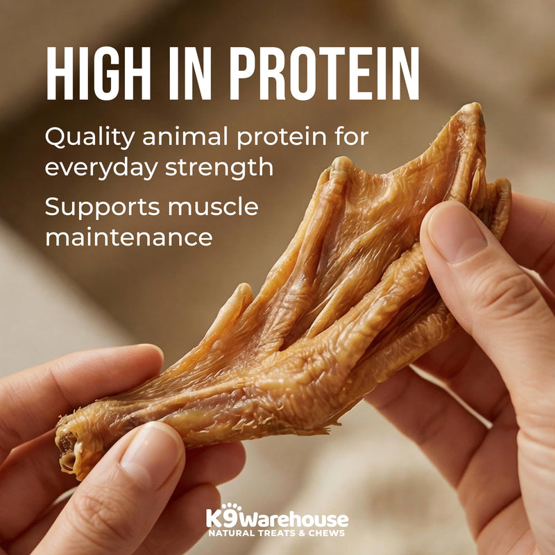 K9warehouse Duck Feet for Dogs – High Protein Dehydrated Dog Treats, Natural Crunchy Chews with Collagen, Glucosamine & Chondroitin for Joint & Hip Health, Dental Care, Small to Large Breeds (30 pcs) 30 Pack - BeesActive Australia
