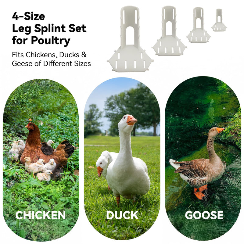 4 Sizes Poultry Leg-Splint Set, Broken Leg Support for Chicken, Duck, Goose - BeesActive Australia