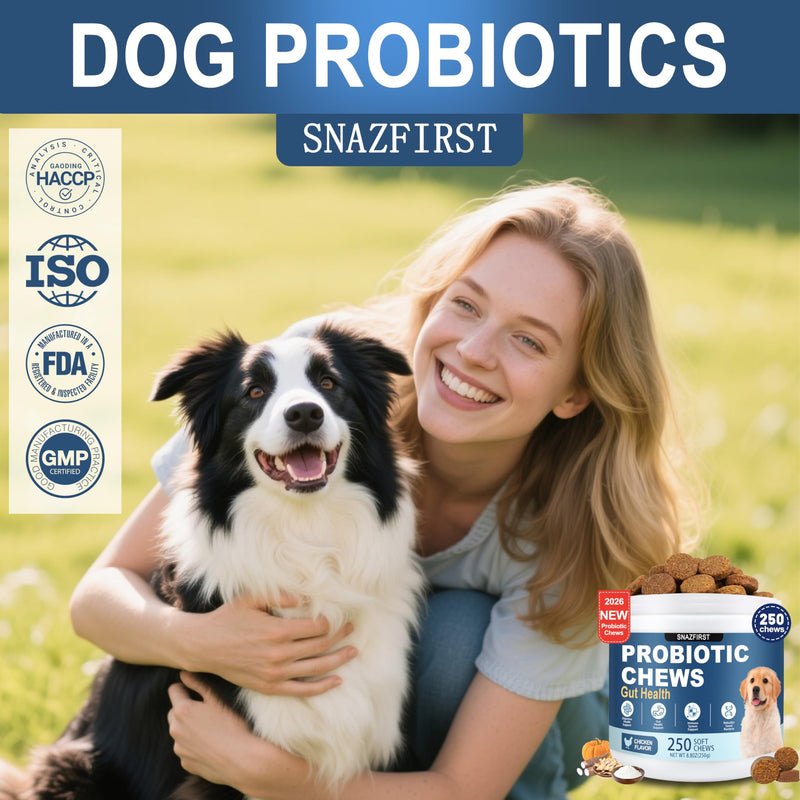 Probiotics for Dogs, Dog Probiotics Chews for Digestive Health & Gut Health, Improve Immune System,Constipation & Diarrhea Relief(Chicken Flavor, 250 Chews) 250 CHEW
