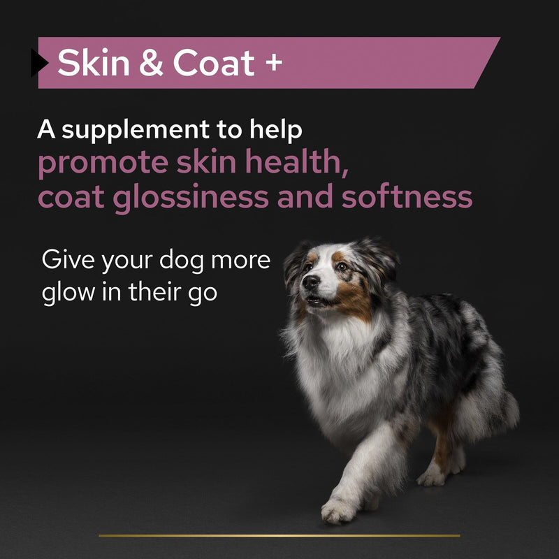PRO PLAN Dog Skin and Coat Supplement | Skin health support, lustrous coat | with salmon oil, linseed oil, omega 3, omega 6, vitamin E | all breed| Adult and Senior dogs | Oil 250 ml