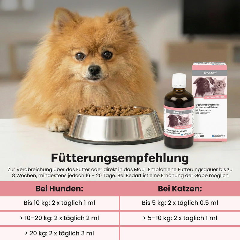 alfavet Pregnostat for Dogs & Cats (100 ml) – Liquid Supplement for Reproductive Support – With Pulsatilla, Melissa & Asa Foetida