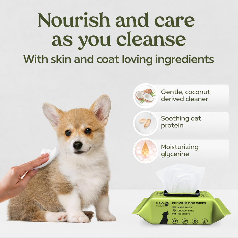 Pawfume Dog Wipes 100 Count, Pet Wipes – Hypoallergenic & Gentle Dog Wipes for Eyes, Face, Butt, and Paws – Cleaning & Deodorizing, Grooming Tear Stain Wipes for Puppy, Adult Dogs & Cats Pack of 1 - BeesActive Australia