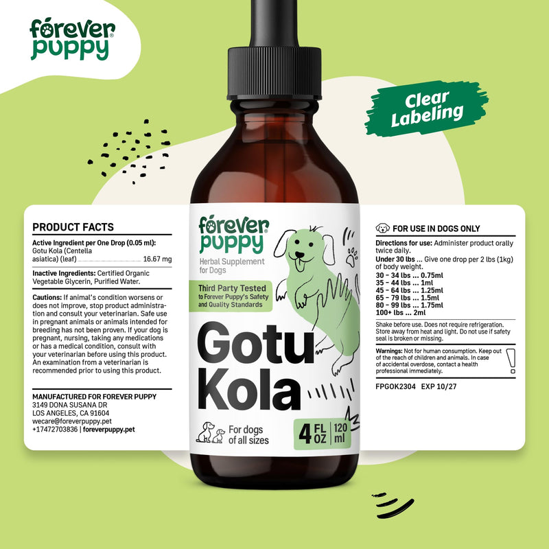 Gotu Kola Drops for Dogs - Gotu Kola Extract & Centella Asiatica for Brain Health Support - Nutritional Brain Supplement for Dogs of All Breeds & Sizes - 4 oz 4 fl oz - PawsPlanet Australia