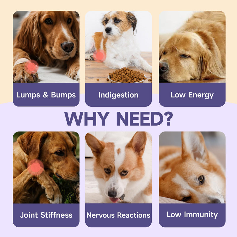 Mushroom for Dogs - with Turkey Tail Mushroom for Dogs, Lion’s Mane, Shiitake, Supports Joint & Gut Health, Enhances Energy, Lumps & Bumps Supplement,Organic Mushrooms Supplement for Dog, 60ml Drop