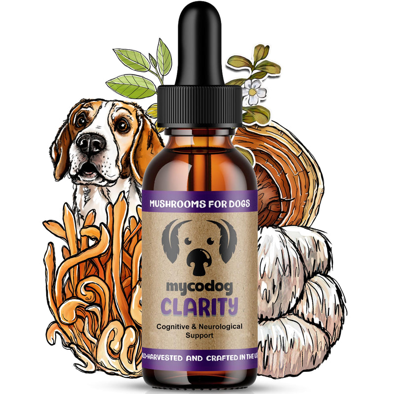 MycoDog Clarity - Cognitive Support Mushroom Supplement for Dogs - Brain Health, Memory & Focus Support with Adaptogens for Aging Dogs