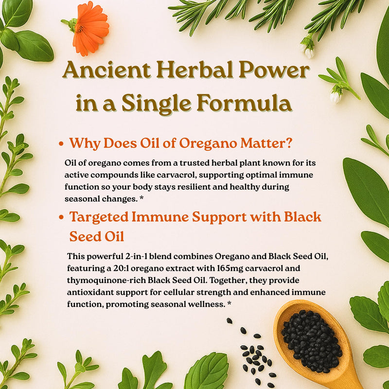Micro Ingredients Oil of Oregano Softgels, 300 Count | 2 in 1 Formulated with Black Seed Oil, 4X Strength Carvacrol & Thymoquinone | Plant Based, Non-GMO, & Immune Support 300 Count (Pack of 1)