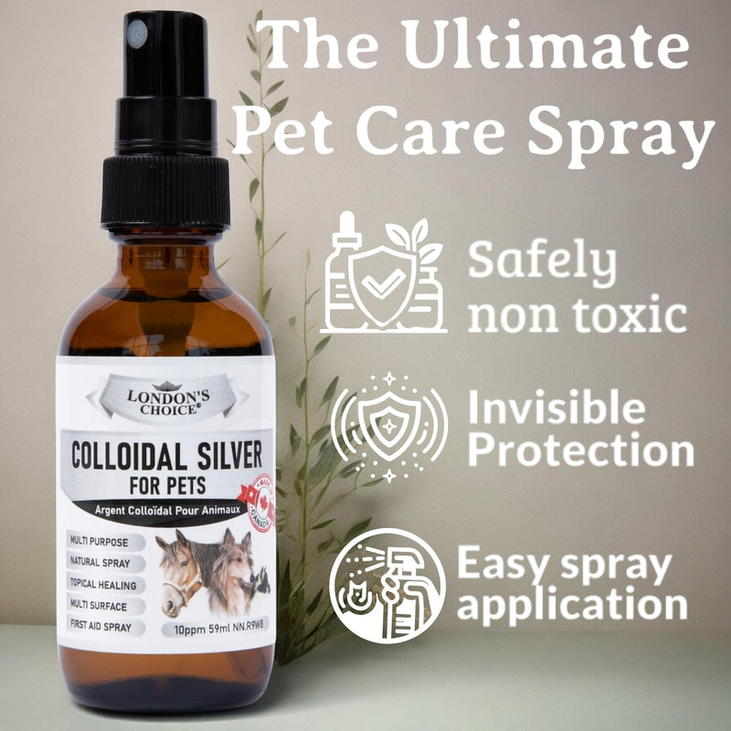 Colloidal Silver for Dogs: 2oz (59ml) Multi-Purpose Silver Spray - Optimal for Dog Wound Care, Cat Acne, and Oral Health, Essential Skin Care Spray for Pet First Aid Kits Small - BeesActive Australia