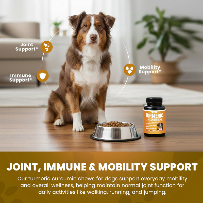 Turmeric for Dogs (155mg) Turmeric Curcumin Supplement for Dogs with BioPerine - Immune System Hip, Mobility & Joint Support - 120 Chicken Flavor Chewable Tablets - Third Party Tested & Non-GMO