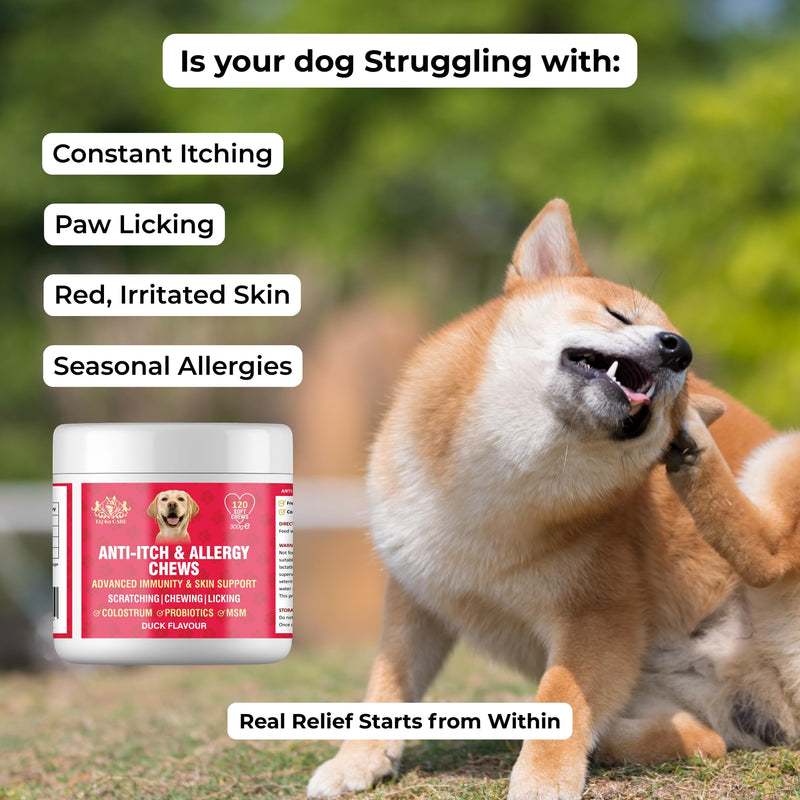 EQ K9 Anti Itch & Allergy Relief for Dogs, Stops Scratching, Paw Licking & Hot Spots, Duck-Flavour Chews, Skin & Coat Relief with Omega 3 & Probiotics, Dog Itchy Skin Relief, Small, Medium, Large Pets
