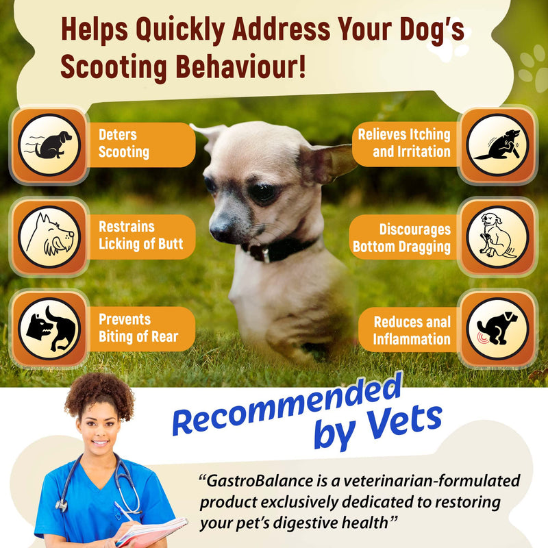dog scooting treatments - Natural scoot stopper for itching dog - 60 tasty soft chews to stop dog scooting (Chicken flavour) Chicken flavour
