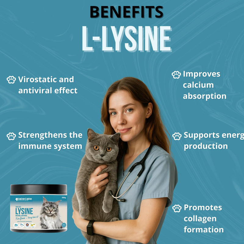 L-Lysine for Cats Powder 300g – Immune Support with Echinacea, Vitamin C & Zinc – Fish Flavour – Helps Respiratory Health & Cat Cold – Suitable for Kittens, Adult & Senior Cats