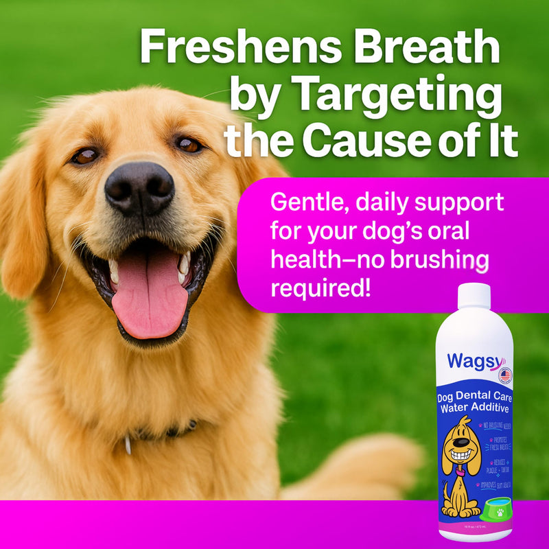 WAGSY Dog Breath Freshener & Dental Care Water Additive for Dogs Teeth - Made in USA, Naturally Derived Dog Mouthwash for Bad Breath, Plaque & Tartar Control, Whiter Teeth & Fresh Breath