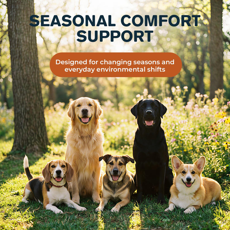Manuka Honey for Dogs, Allergy & Itch Support Powder for Dogs, Helps Relief Itchy Skin, Supports Skin Comfort & Coat Health with Quercetin, Colostrum & Probiotics, 60 g