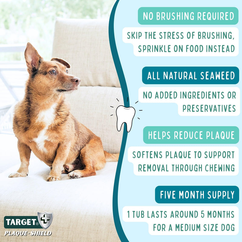 Target Plaque Shield | Seaweed Dental Powder for Dogs |150g | Helps Reduce Plaque & Tartar Build-Up, Fresh Breath Support | Dog Toothpaste & Toothbrush Alternative | Dental Stick Included