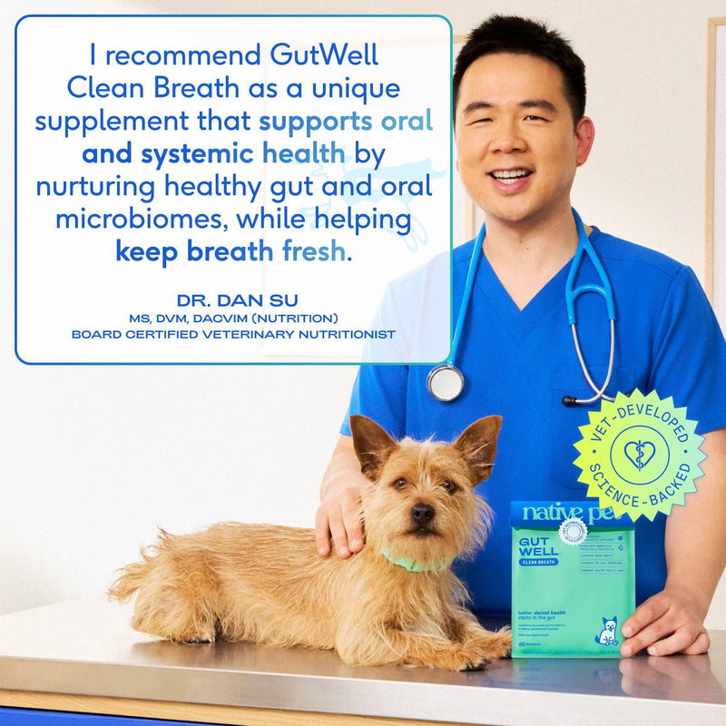 Native Pet Fresh Breath Bundle: 60 Scoops GutWell Clean Breath - Dog Breath Freshener & 5 Small Yak Cheese Himalayan Dog Chews - Long Lasting Dental Sticks