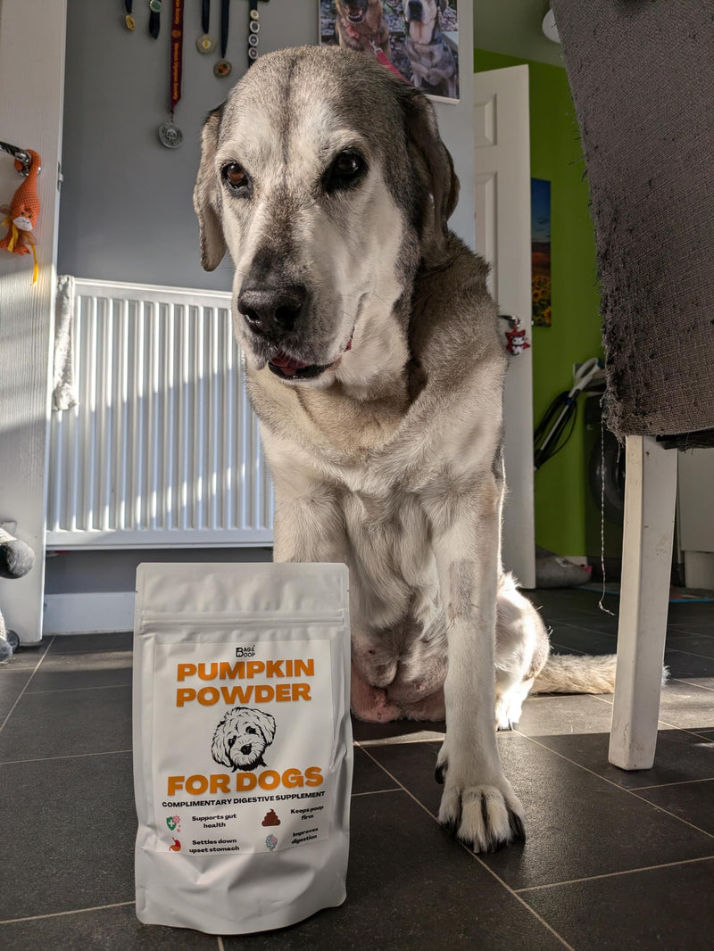 Pumpkin powder for dogs (200g) - Dog food topper and puree