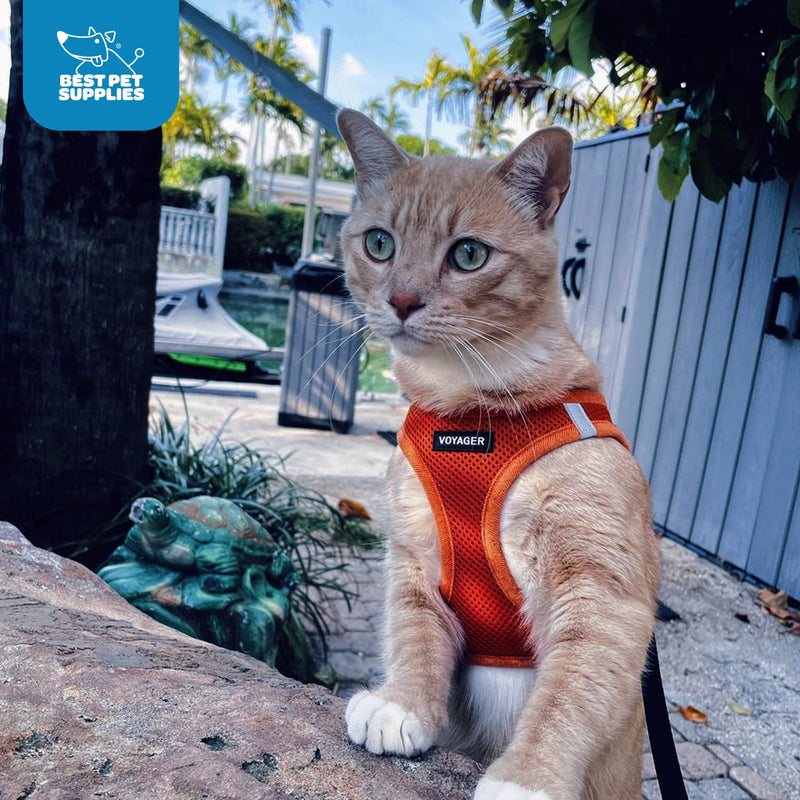 Voyager Step-In Air Dog Harness by Best Pet Supplies - All Weather Mesh Step in Vest Harness for Small and Medium Dogs, Orange, size XS - Chest 33-37 cm Orange (matching hem) XS (Chest: 13 - 14.5") - BeesActive Australia