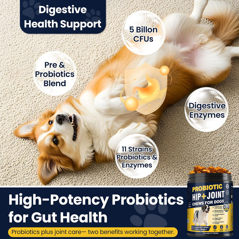 Hip and Joint Supplement for Dogs Dog Probiotics Glucosamine Chondroitin MSM Chew for Dog Arthritis Pain Relief Extend Joint Care, Probiotic for Digestive/Gut Health for Large/Small/Senior Breed Dogs Chicken