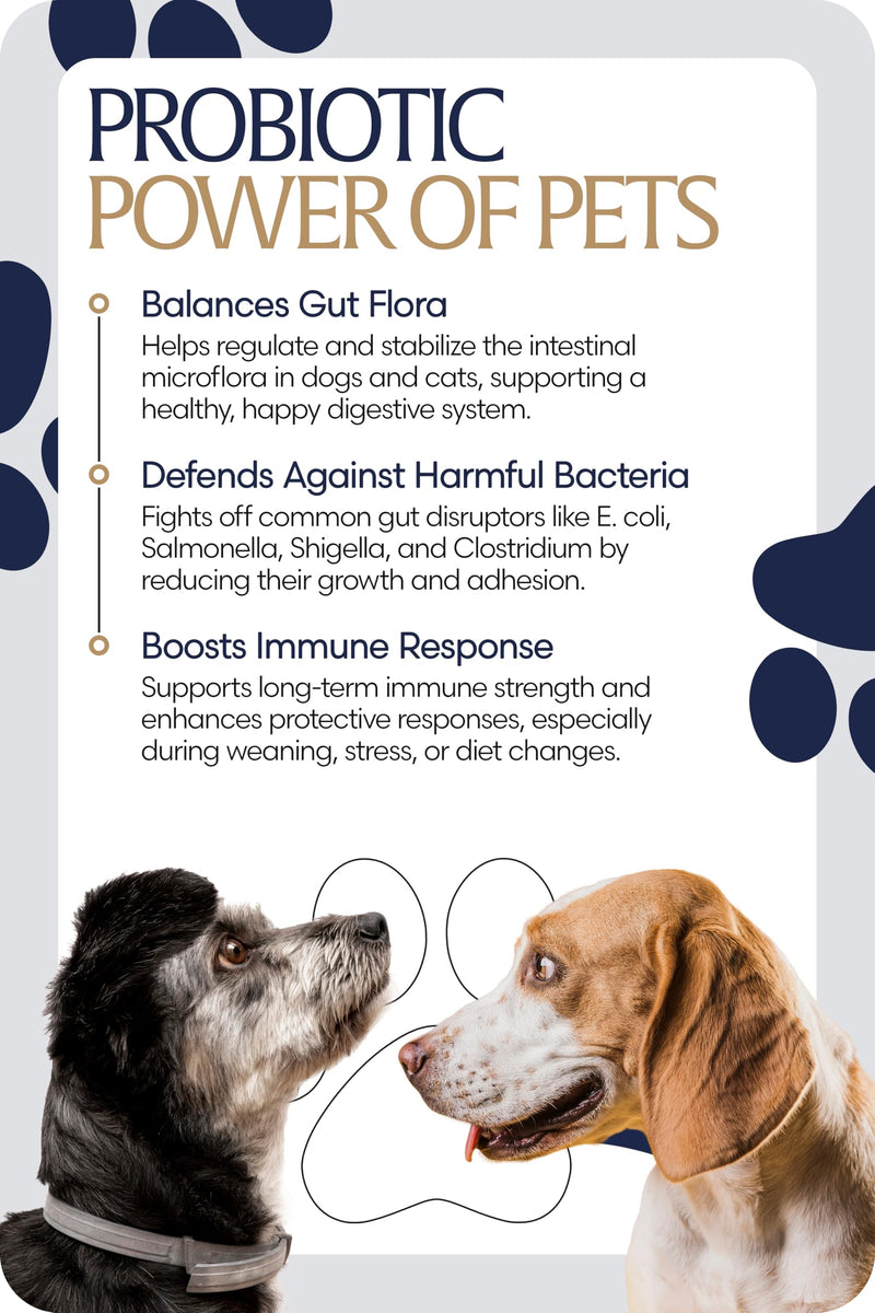 Equinavia GutEase Digestive Support Paste for Dogs & Cats – with Probiotics, Prebiotics, Glutamine, and Pectin – Easy Oral Supplement in 15ml or 30ml Syringe - 1 oz (30 ml) - 1 oz 1 oz (30 ml)