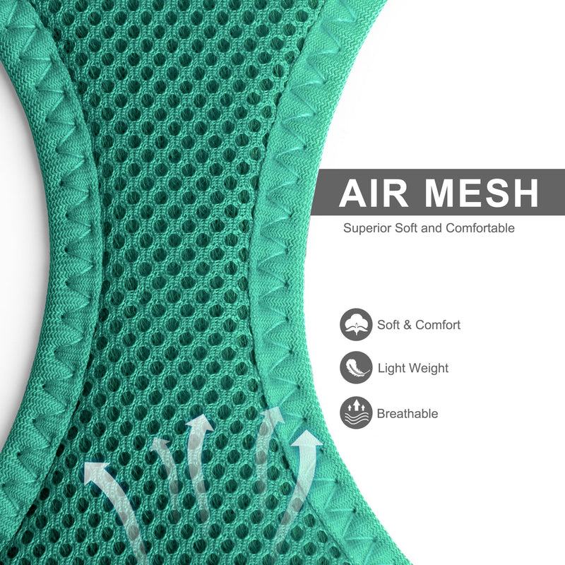 Fida Cat Harness and Leash Set for Walking Kitten and Puppy, Escape Proof Kitten Harness with Breathable Lightweight Soft Mesh, Adjustable Reflective Step-in Design. (XXXS, Green) XXXS (Neck:10.2"-11.4"; Girth:11.4"-12.6") Turquoise - BeesActive Australia