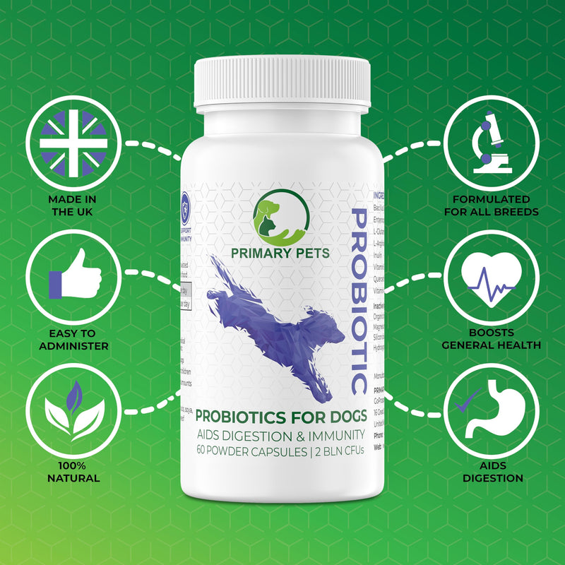 Primary Pets Premium Pet Supplies – Probiotics for Dogs with Prebiotics, 60 Powder Capsules, Supports Gut Health, Digestion and Immunity, Dog Probiotic Supplements for Gut Health 60 Capsules Round Bottle