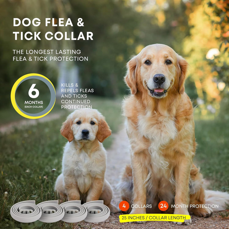 Dog Flea Tick Prevention Collar: Effective Flea Collar and Prevention for Dogs - Safe Dog Ticks Fleas Collars - Reliable Tick Flea Collars for Dogs - 24 Month Protection 4-Pack… 4 Pack - BeesActive Australia