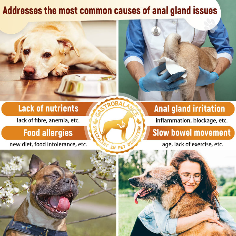 gland treatment for dogs - 60 natural soft chews emptying dog gland sacs – Effective dog gland treatment (Chicken flavour) Chicken flavour