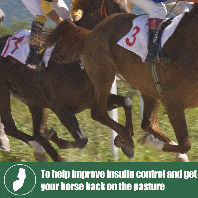 Insulin Resistance Supplement for Horses, Herbal Formulated for High Insulin, Chronic Laminitis, Cushing's Syndrome, Sore Feet, Blood Sugar Reduction & Metabolic Enhancement, 0.44 lbs - BeesActive Australia