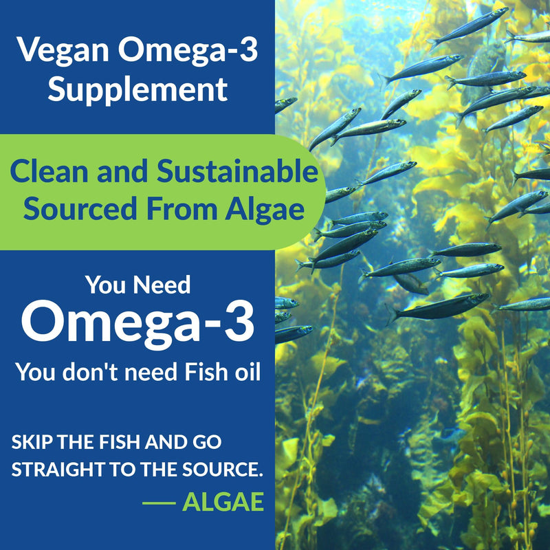 Vegan Omega 3 Gummies 1000mg - Algae Omega 3 Supplement for Women & Men with CoQ10, Vitamin D3, K2 & Turmeric - Fish Oil Alternative for Adults with DHA EPA for Brain, Eye- Sugar Free, 60 Count 60 Count (Pack of 1)
