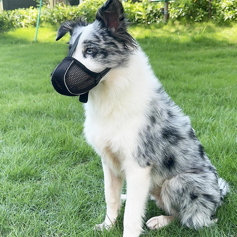 Muzzle for Large Dogs, Prevent Chewing/Eating/Biting Dog Muzzle, Breathable Reflective Adjustable Muzzle Medium Dog (Black, L) Black - BeesActive Australia