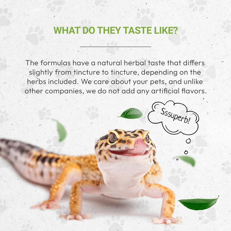 Reptilian Bones | Natural Herbal Dietary Pet Supplement for Reptiles | Support Healthy Bones | Alcohol-Free Extract, Stinging Nettle Leaf, Plantain, Dandelion Leaf, Gotu Kola, Turmeric 2 oz - PawsPlanet Australia