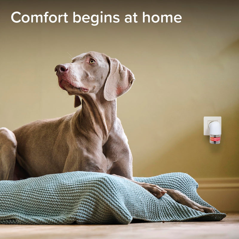 Beaphar | CaniComfort Calming Diffuser Refill | Reduces Separation Anxiety & Stress in Dogs | Helps Ease Fear of Fireworks | Covers 70m² Area | Lasts Up To 30 Days 48Ml