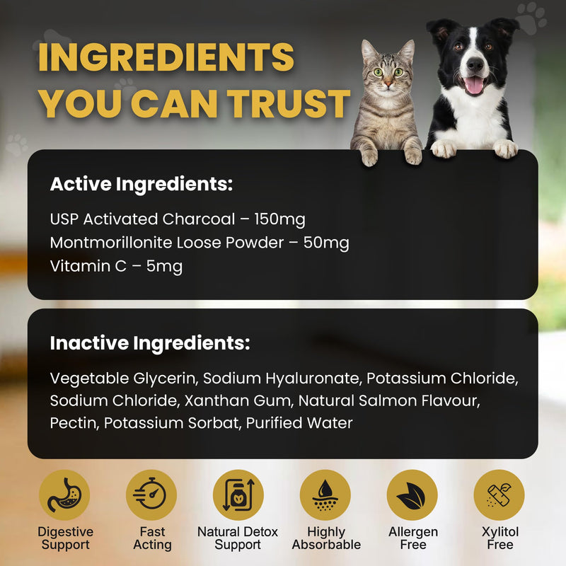 Activated Charcoal Gel for Dogs & Cats – Pet First Aid & Emergency Use, Fast-Acting Digestive & Toxin Support, Salmon Flavored Oral Syringe with Vitamin C, 60mL