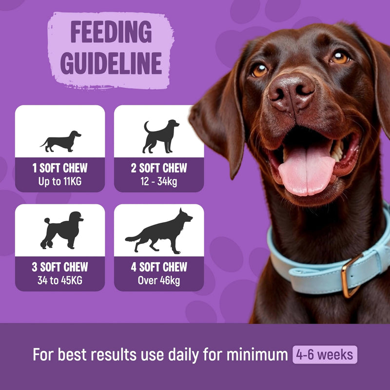 Calmers for Dogs – TDL 120 Soft Calming Dog Chews – Duck Flavour Calm Treats for Dogs with Hemp Dog Oil – Tablets for Anxiety, Dog Stress Relief & Natural Dog Chews