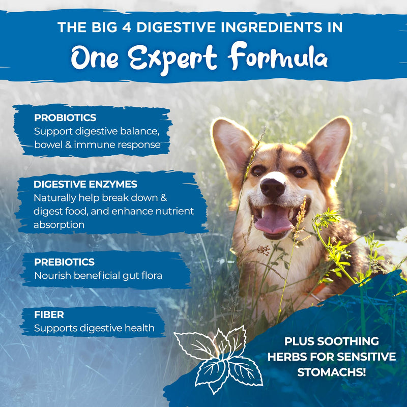 Vital Planet - Sensitive Stomach for Dogs with Enzymes, Probiotics and Fiber, Natural Digestive Support for Upset Stomach with Fennel, and Peppermint, 60 Chicken Flavored Chewable Tablets - PawsPlanet Australia