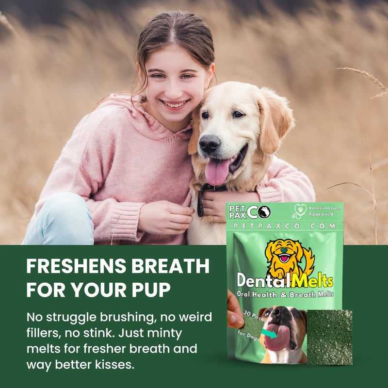 Bad Breath Oral Support for Dogs 5 in 1 – 10 Oral Melts – Natural Sage, Spirulina, Apple Cider Vinegar – Dog Dental Care Products & Breath Freshener – Fast Dissolving Dog Breath Treats 10 Strips