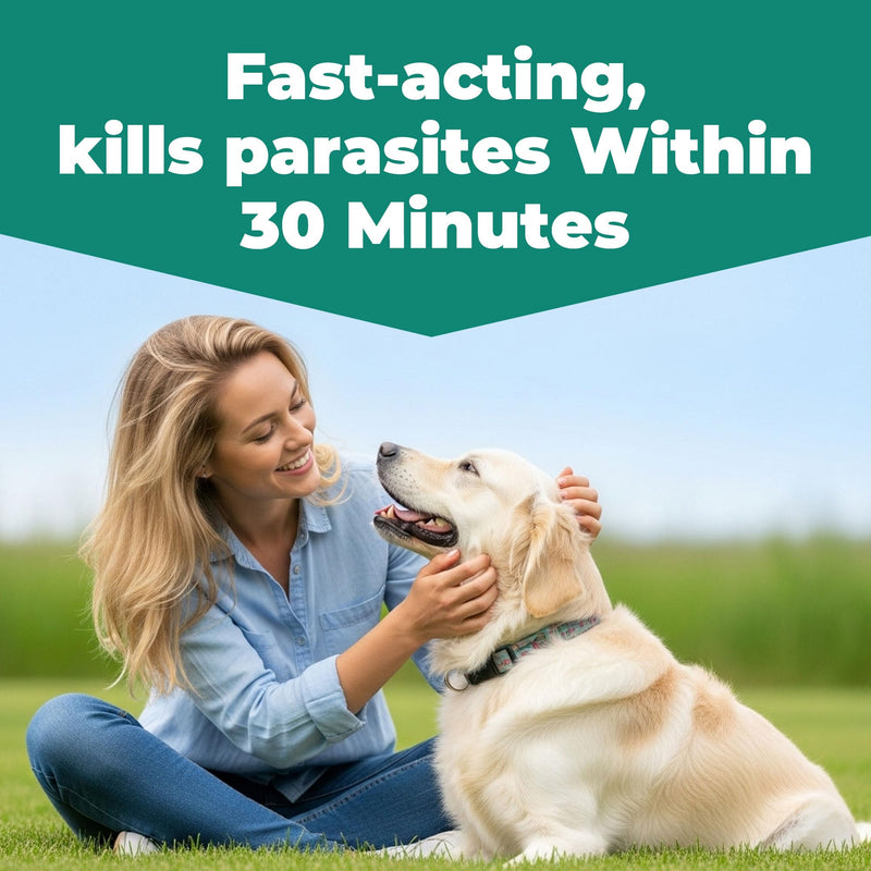 De-Wormer for Dogs, Oral Treatment for Tapeworm, Roundworm & Hookworm in Large Dogs & Puppies (Over 25 lbs), Worm Remover (Praziquantel & Pyrantel Pamoate), 12 Tablets